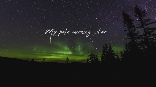 Pale Morning Star (lyric video)