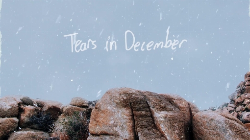 Tears In December (Visualizer)