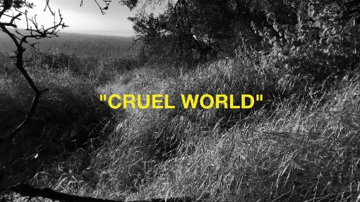 Cruel World (Sun Rooms Series)